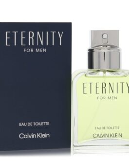 20mg IGNITE V600 Disposable 600 Puff – watermelon-ice